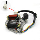 High Quality 2-Coil Magneto Stator for Kazuma Quad ATV Kart Bike LF100 DY100 H100 LX100