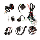 Complete Electrics CDI Coil Wiring Harness For ATV QUAD Dirt Bike 150-250cc