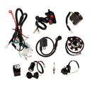 Complete Electrics CDI Coil Wiring Harness For ATV QUAD Dirt Bike 150-250cc