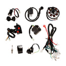 Complete Electrics CDI Coil Wiring Harness For ATV QUAD Dirt Bike 150-250cc