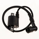 Complete Electrics CDI Coil Wiring Loom Harness Kit for 150cc 250cc ATV