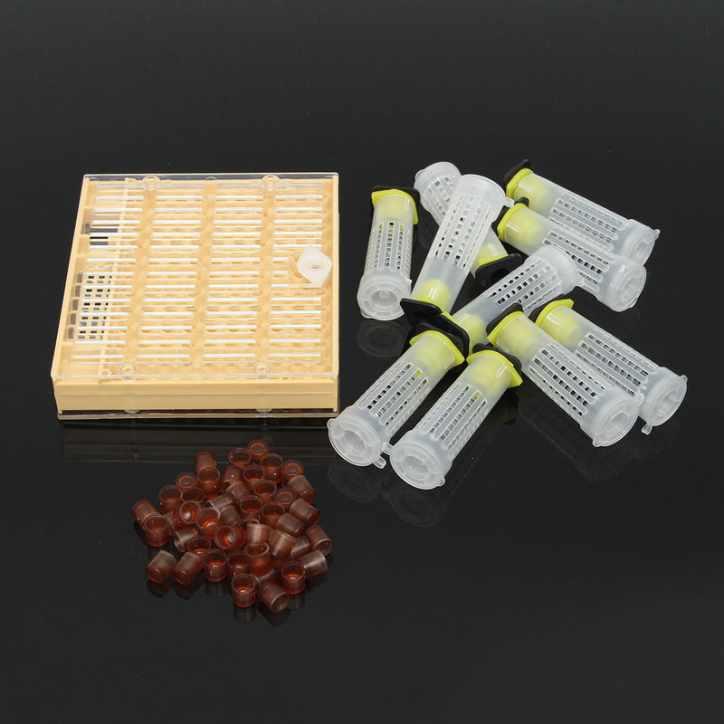 Bee Queen Rearing Cell Cupkit Box Case For Cupularve System Beekeeping Tools Set