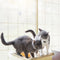 Yani HP-DC1 Pet Cat Window Hammock Soft Cat Kennels 15KG Cat Safe Hanging Shelf Seat Pet Bed