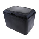 Premium 13L Car Travel Mini Container Storage Cooler And Warmer Dual Use Freezer Box