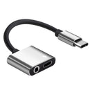 USB C to 3.5mm Headphone Jack Adapter with Fast Charging Port 2 in 1 Hub for Samsung, Pixel, HTC, Sony (Silver)