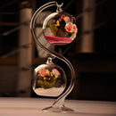 DIY Micro Landscape Hanging Ball Shape Glass Plant Vase Home Garden Party Decoration