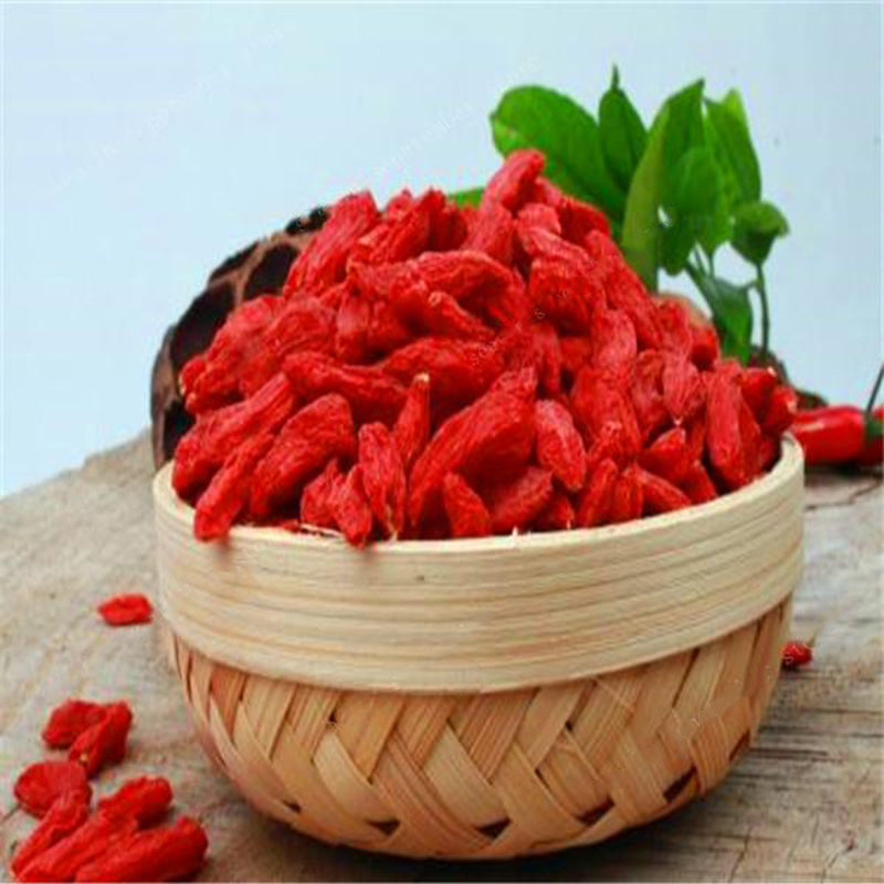 Egrow 100 Pcs/Pack Wolfberry Seeds Outdoor Wolfberry Organic Heirloom Fruit For Garden DIY Lycium Chinense Herb Plant Medlar