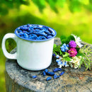 Egrow 200Pcs/Pack Lonicera Caerulea Fruit Seeds Home Garden Plants Honeyberry Blueberry Seeds