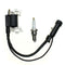 Lawn Mower Ignition Coil Magneto For HONDA HR214 HR215 HRM215 Gas Engine Motor