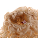 Long Wave Curly Wig Golden Hair for 1/6 BJD Dollffie MSD AOD AS Dolls Hairpiece DIY Making Repair Accessory