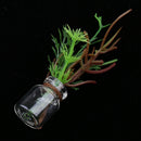 1/12 Miniature Resin Potted Plants Dollhouse Room Garden Decor Accessory