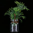 Miniature Potted Plants in Glass Bottle for 1/12 Dolls House Room Display Decoration