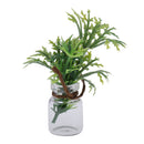 Miniature Potted Plants in Glass Bottle for 1/12 Dolls House Room Display Decoration