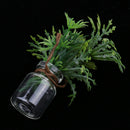 Miniature Potted Plants in Glass Bottle for 1/12 Dolls House Room Display Decoration