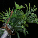 Miniature Potted Plants in Glass Bottle for 1/12 Dolls House Room Display Decoration