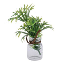 Miniature Potted Plants in Glass Bottle for 1/12 Dolls House Room Display Decoration