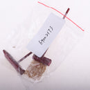 1/12 Dolls House Miniature Broom Dustpan Kit Cleaning Tools Room Items Decoration