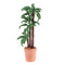 1/12 Dollhouse Miniature Room Decroation Green Plant Fairy Garden Potted Braziletto Tree