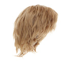 1/6 Scale BJD Short Hair Ash Brown Curly Wig for Dollfie DOD BF POCKET LUTS CUITE DIY Makeup