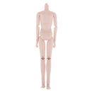 1/6 BJD Male Doll Body DIY Body Parts High Quality Plastic Toy