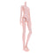 1/4 BJD Female Doll Medium Bust Body DIY Body Parts High Quality Plastic Toy