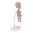 Polyarticular Turnable Nude Doll Body With Display Stand For Obitsu11 Dolls