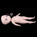 High Quality Fat Ferrite Nude Body Doll Head Faceplate Kit for 12inch RBL Blythe Takara Custom DIY Making Accessory