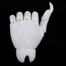 1/3 Jointed Hands BJD Unisex Hands Monster Hand Model Halloween Party Props