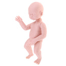 Handmade DIY 20inch Reborn Kit Silicone Head Body Limb Mold Blank Newborn Baby Girl Doll Christmas Gift