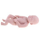 Real Touch Silicone 22inch Reborn Sleeping Baby Boy Doll Kits Head Full Limb Body Mold Adult Collections