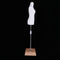 1/3 BJD Smart Doll Female Mannequin Torso Dolls Clothing Display with Metal Rod Holder for LUTS Dollfie AOD DOC MSD