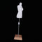 1/3 BJD Smart Doll Female Mannequin Torso Dolls Clothing Display with Metal Rod Holder for LUTS Dollfie AOD DOC MSD