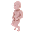 Real Touch Silicone 22inch Reborn Sleep Baby Girl Doll Kits Head Full Limb Body Mold Adult Collections