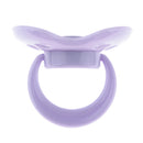 Cute Cartoon Dummy Pacifier & Magnet Set Baby Doll Supplies for Reborn Newborn Doll Purple