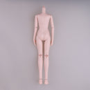 Large Chest Female Body without Head Ball Jointed Doll Nude Body for 1/4 BJD LUTS KID DOC Action Figures