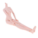 Large Chest Female Body without Head Ball Jointed Doll Nude Body for 1/4 BJD LUTS KID DOC Action Figures