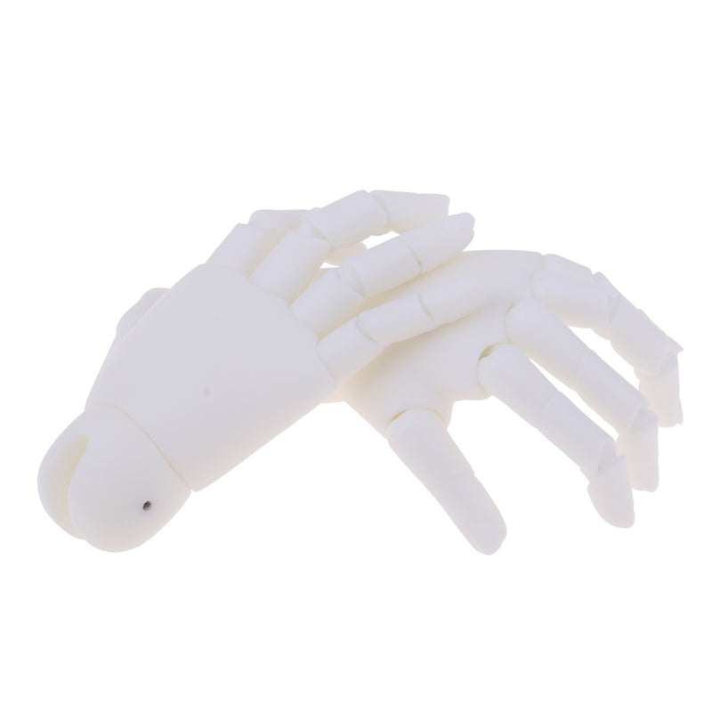 1/4 Doll Hand Model Toy Lifelike Resin Doll Jointed Hand Toy Gift for Christmas Halloween Gift Toy Party Decor, White Skin