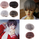 Fashion Beauty 56cm Short Gray Hair for 1/3 BJD Doll Boy Dolls DIY Making Accessories