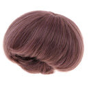 Chic Cute Straight Short BJD Doll Wigs for 1/3 Doll Soft Touch Wig Brown
