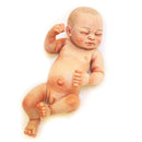 Boutique Soft Vinyl 10inch Reborn Baby Girl Doll Hand Painted Newborn Baby Doll Model with Nursing Bottle