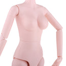 Flexible 1/4 Ball Jointed Doll Nude Body Large Chest Modern Girl Body Parts DIY Custom Accessories