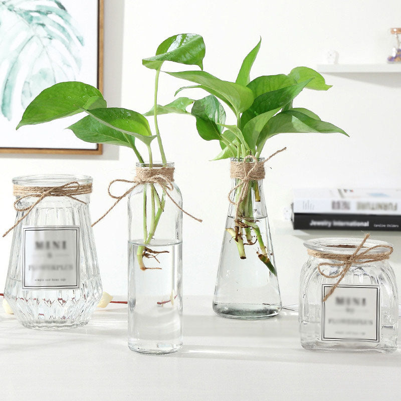 Transparent Glass Vases Living Room Table Decor