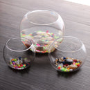 Round Clear Glass Vase Fish Tank Ball Bowl Flower Planter Terrarium Home Decor