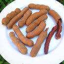 Egrow 10Pcs/Pack Tamarind Tree Seeds Fruit Vegetable Tree Bonsai Home Garden Decoration DIY Plants