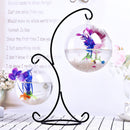 Creative Hanging Holder Crystal Terrarium Container Vase With Glass Ball Vase Pot Iron Stand Holder Decorations