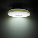 48W LED Ceiling Light Remote Control for Living Room Bedroom Kitchen AC180-260V 3 Modes