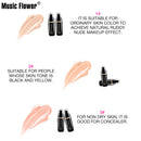 Perfect Cover Oil Control BB Cream Long-Lasting Waterproof Moisturizing Foundation