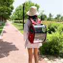 Pet Parrot Bird Carrier Travel Backpack Space Capsule Transparent Handbag Bag
