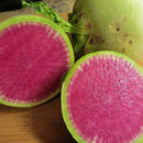 Egrow 100Pcs/Pack Red Radish Seeds Garden Kitchen Vegetable Plants White Radish Seeds