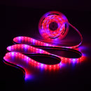 DC12V 0.5M/1M/2M/3M/4M/5M 5050SMD Waterproof Red:Blue 4:1 Full Spectrum LED Strip Grow Plant Light